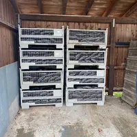 278708559_10158134718041058_2896849739081298825_n.jpg