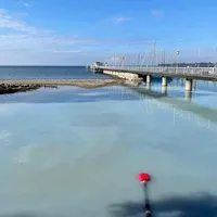 251345609_10157889088781058_3924117749755084575_n.jpg
